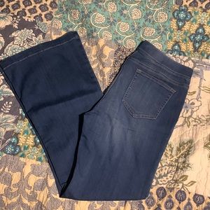 Cello pull on flares!!